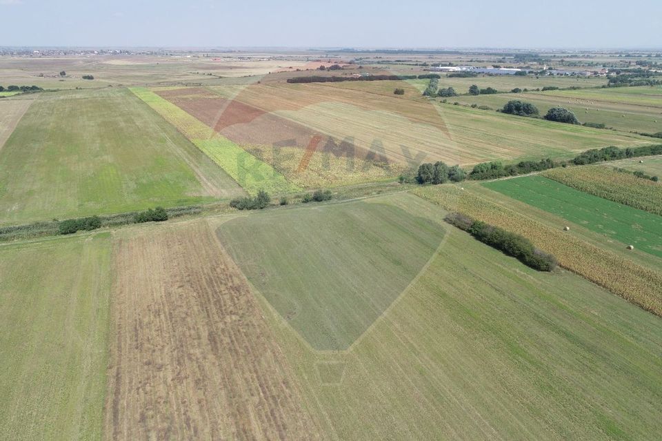 Teren agricol 2 ha Arad / aproape de DN Arad Curtici -Sofronea
