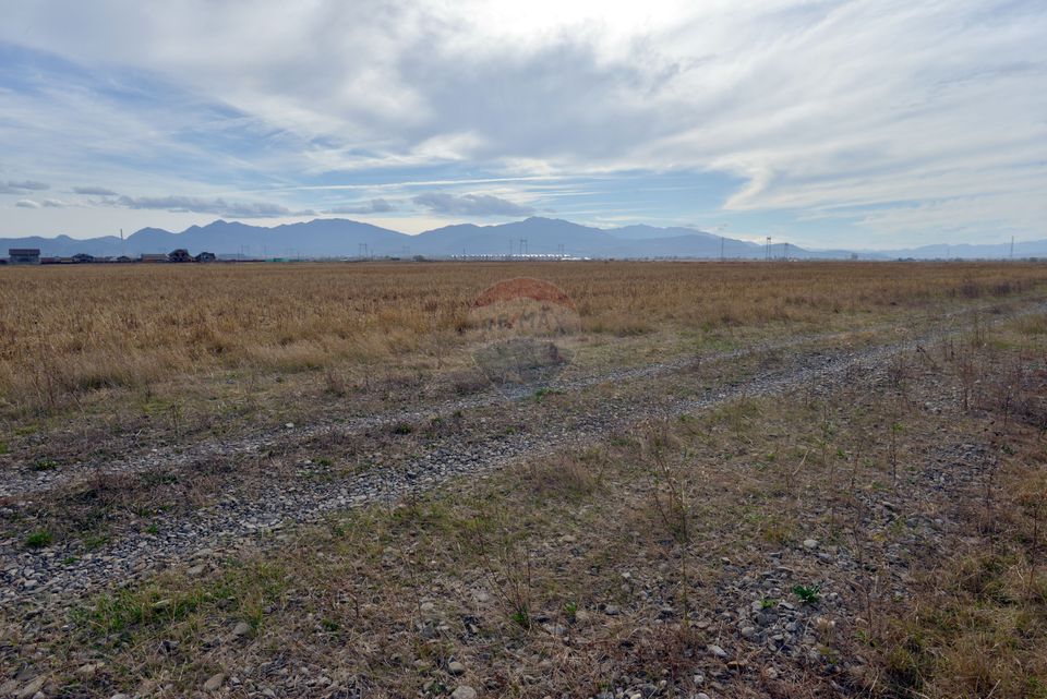 Comision 0! Teren Sanpetru - str George Cosbuc, 2 parcele alaturate de 400mp