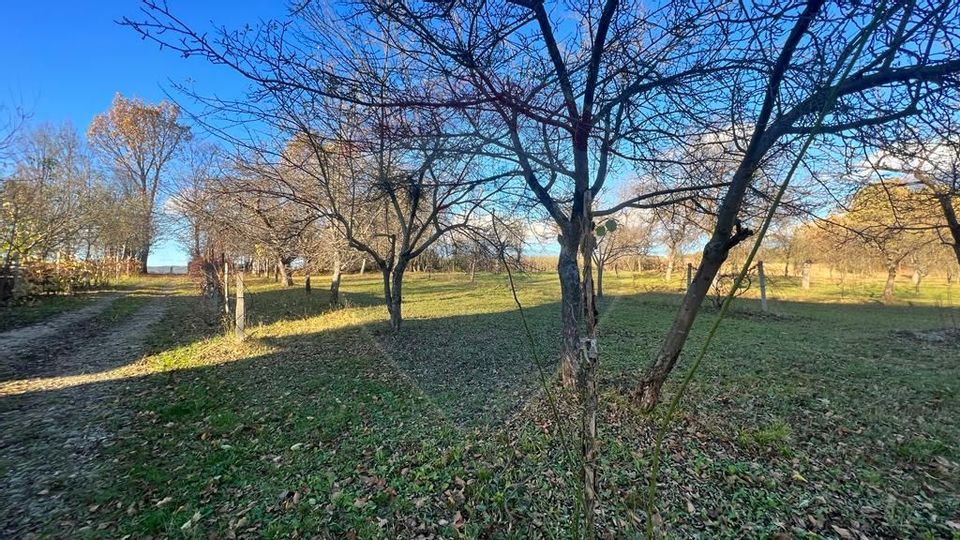 Vanzare Casa de vacanta cu teren 7286 mp Sisesti-Dumbravita, Maramures