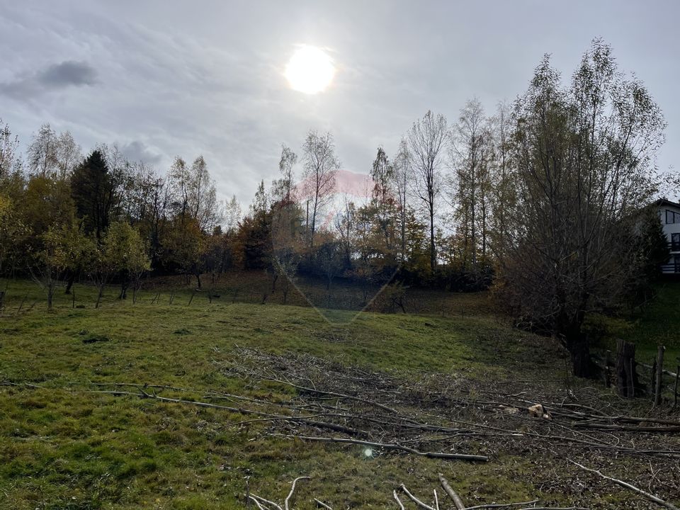 Teren de Vis în Bran – 1000mp Plat, Liniște Absolută și Aer Curat