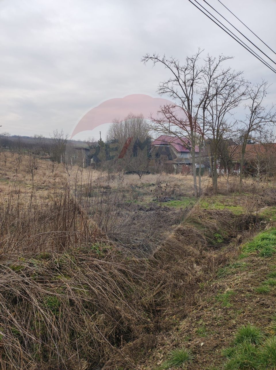 Teren 2.341 mp Uileacu de Munte front 25 ml la drum asfaltat