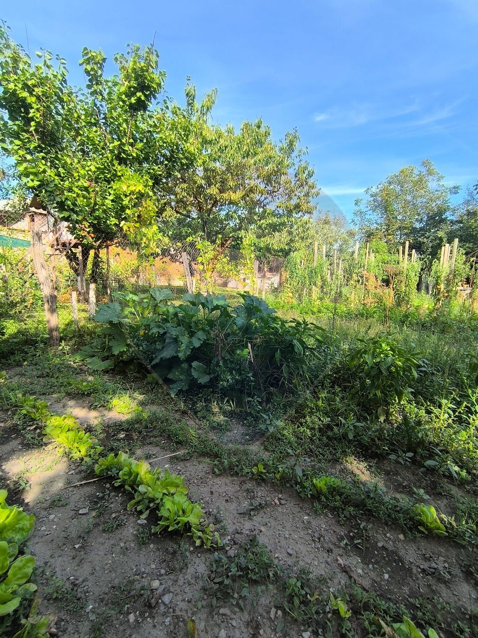 Casă de vanzare 3 camere Gherla