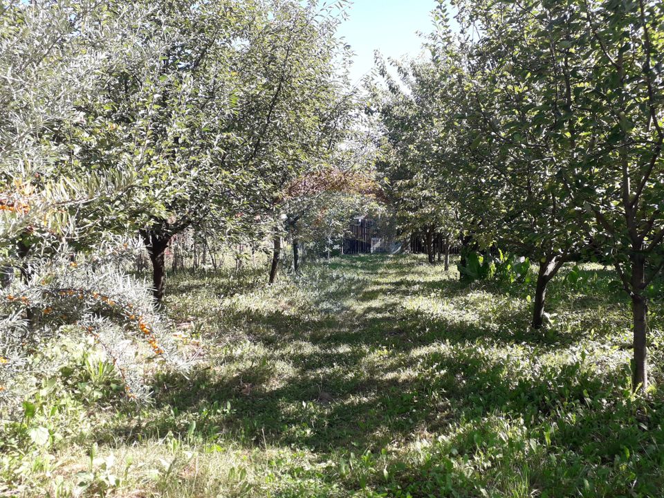 Land 900sqm Sanpetru / Strada TRIAJULUI