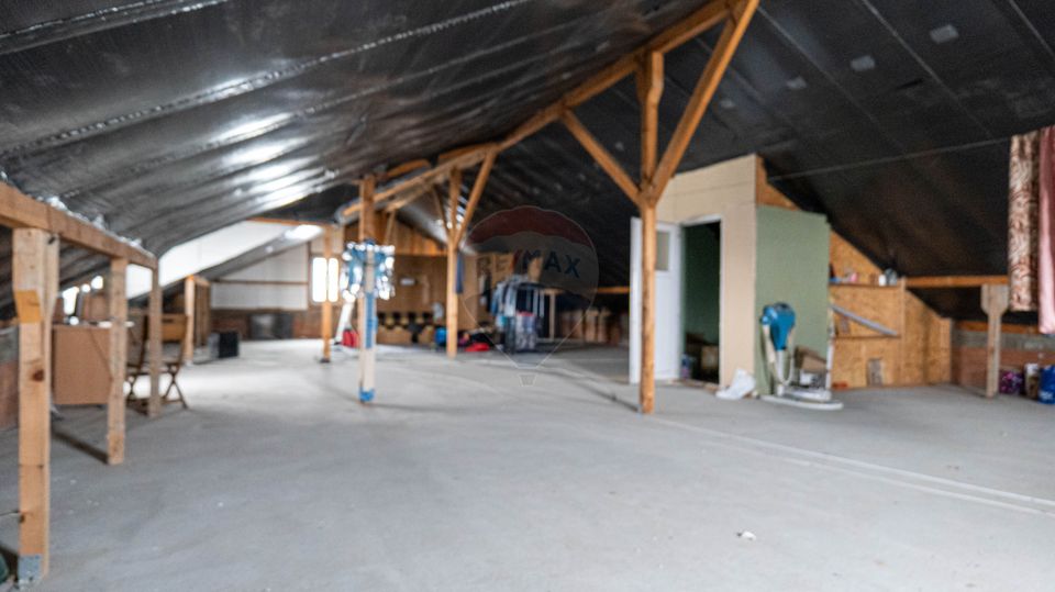 11 room House / Villa for sale