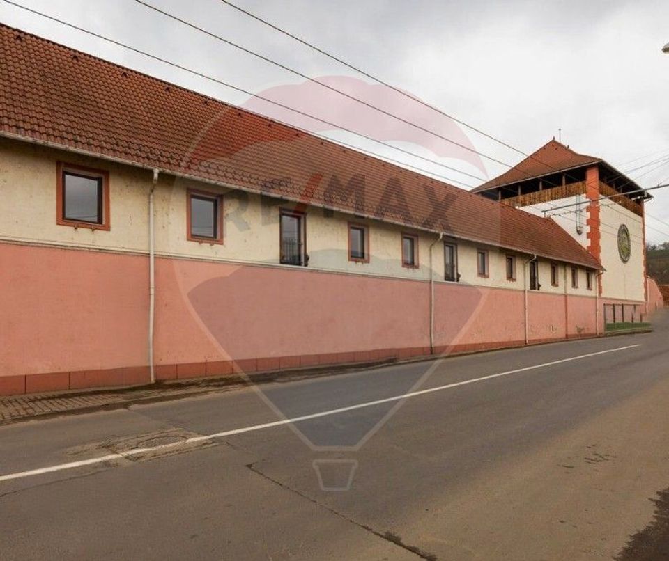 Fabrica de preparate si conserve din carne  la Medias