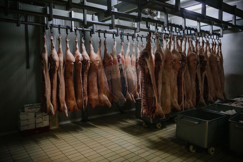 De vânzare AFACERE la cheie--CARMANGERIE--ABATOR--PREPARARE MEZELURI