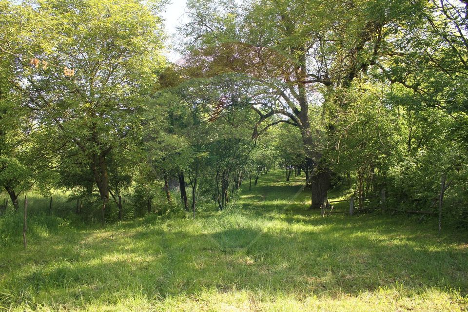 Casă / Vilă cu 2 camere de vânzare