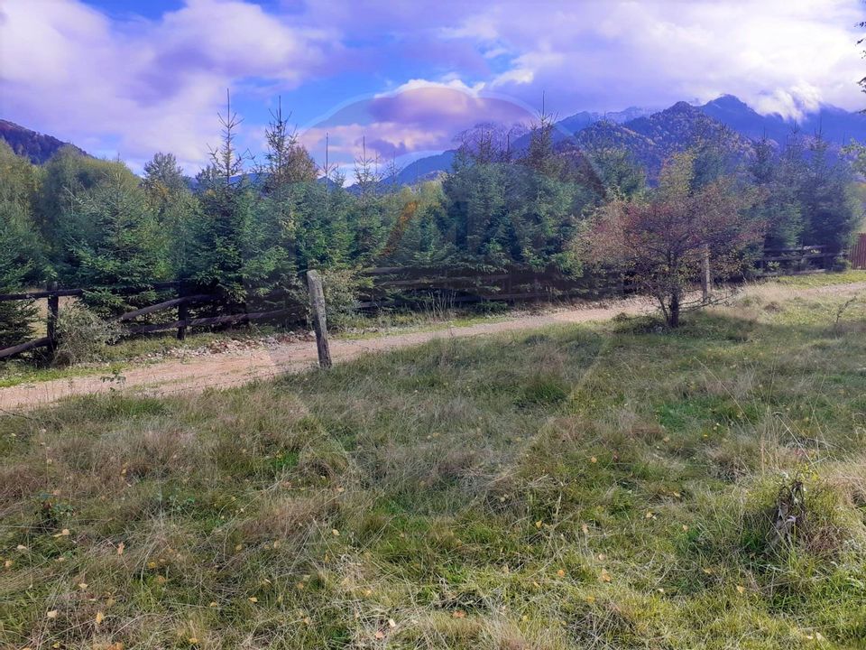 Comision Teren Rasnov - Strada Poiana velicanului, 5167mp