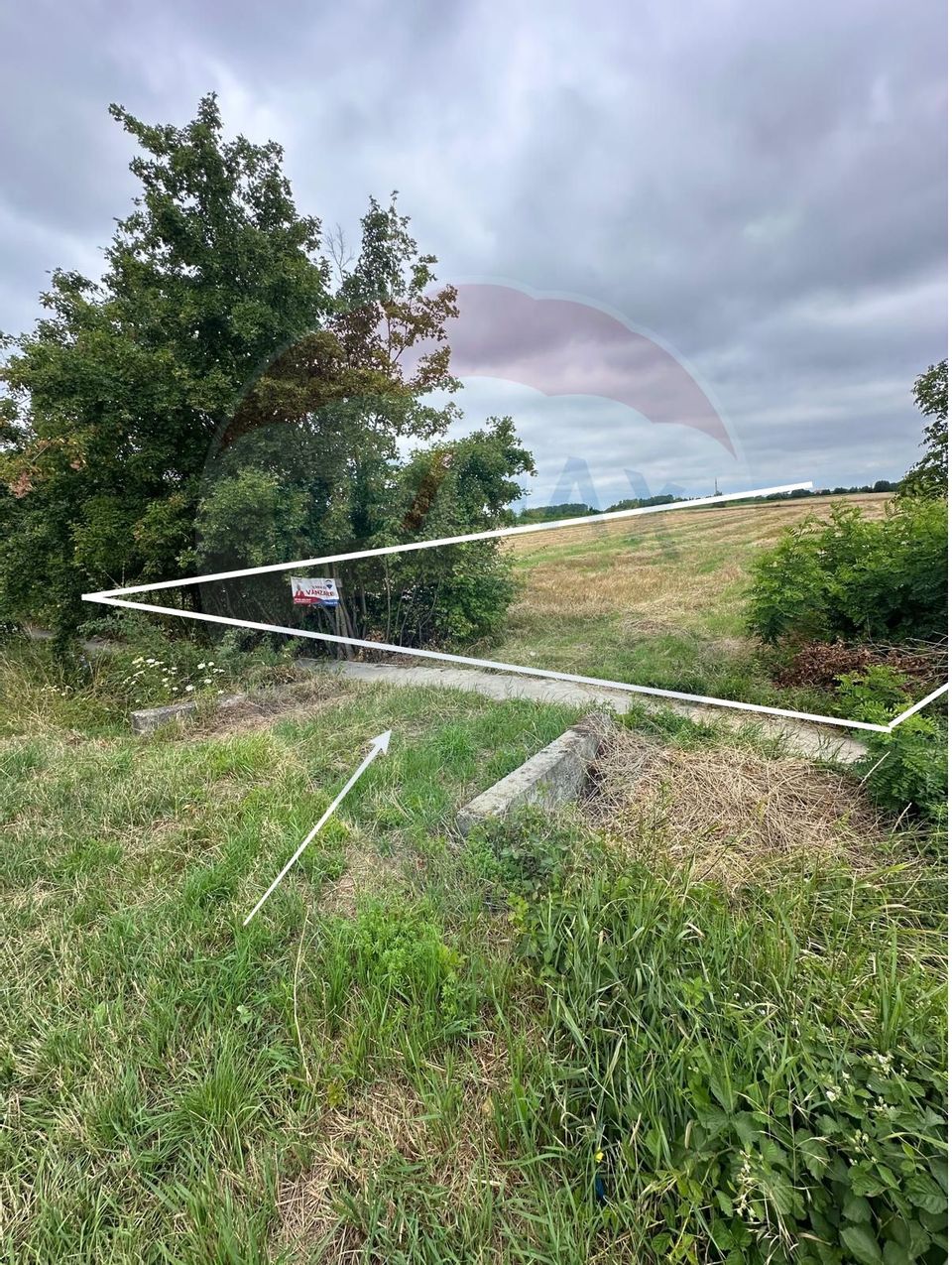 Land 5,800sqm Agris / Calea CIUPERCENI