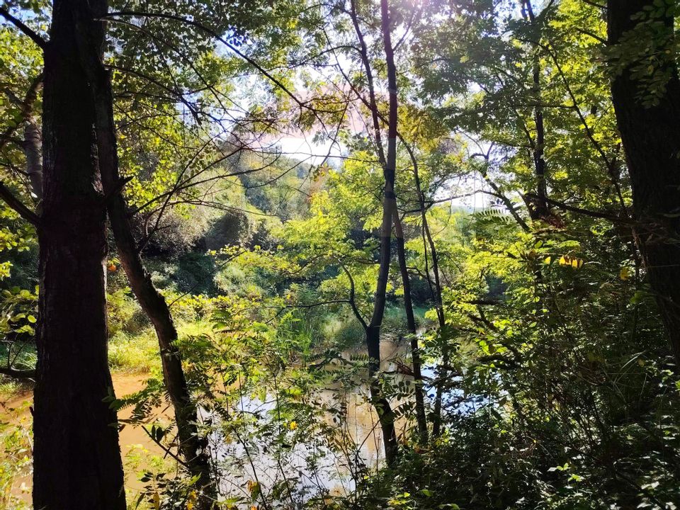 2 room House / Villa for sale