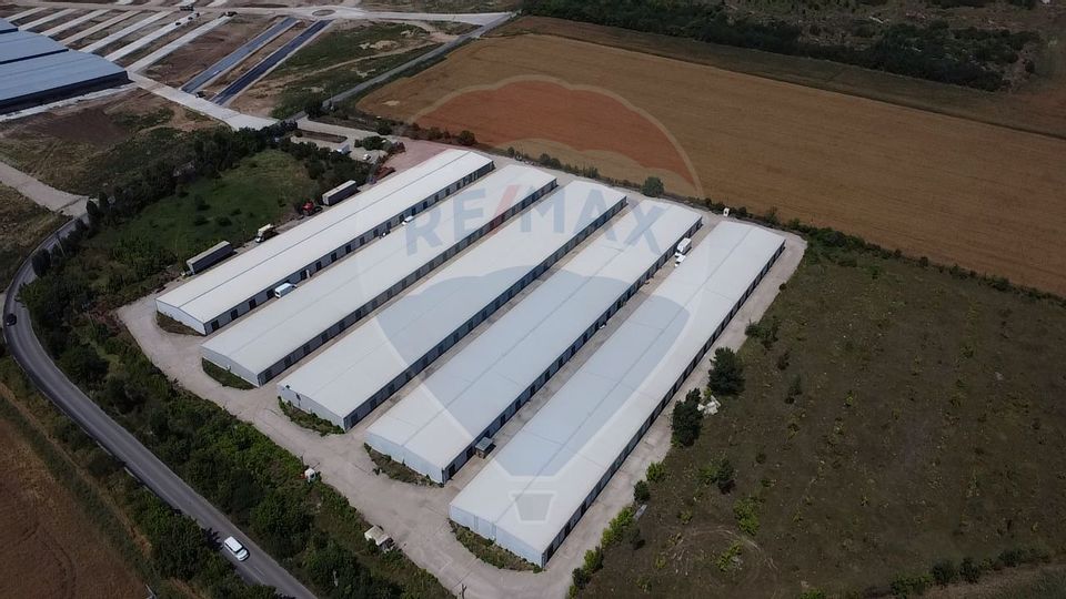 Land 15,700sqm Afumati / Strada Moara Domneasca