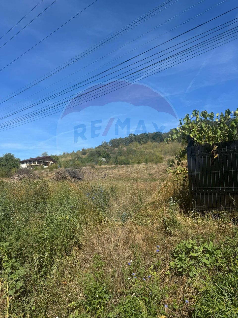 Vânzare 6600 mp teren Leamna de sus 40 euro/ mp