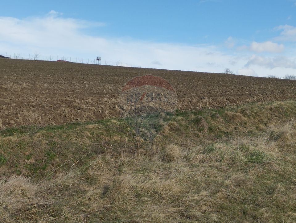 Teren Bodesti / Strada OSLOBENI LANGA MANASTIREA DUMBRAVELE