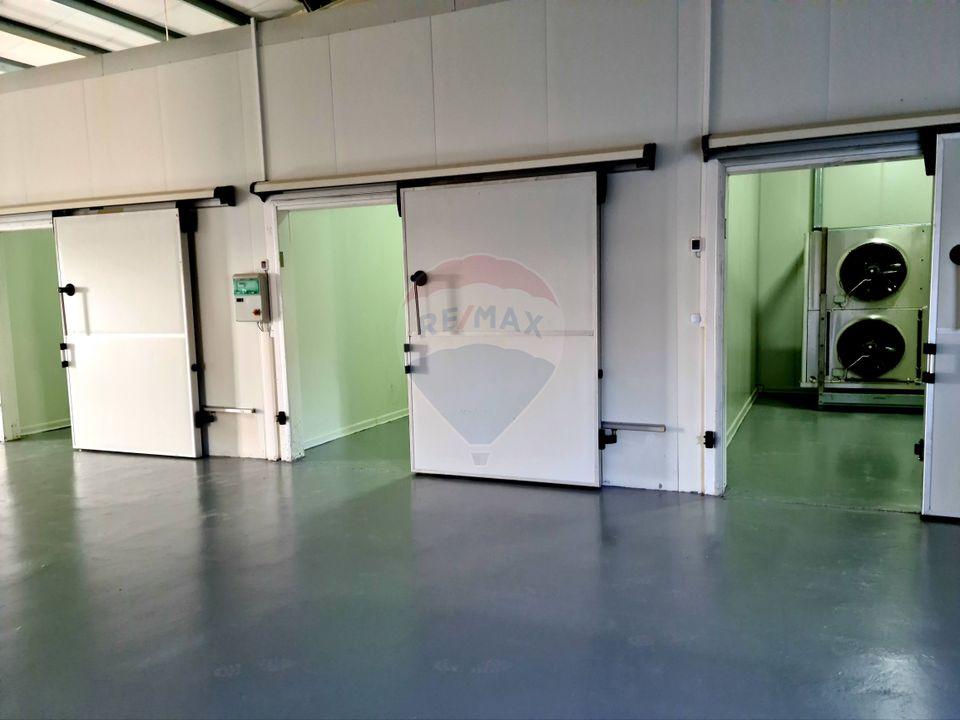 Teren agricol 13,1 ha + Hală 700 mp + Utilaje Agricole - Piscu, Galati