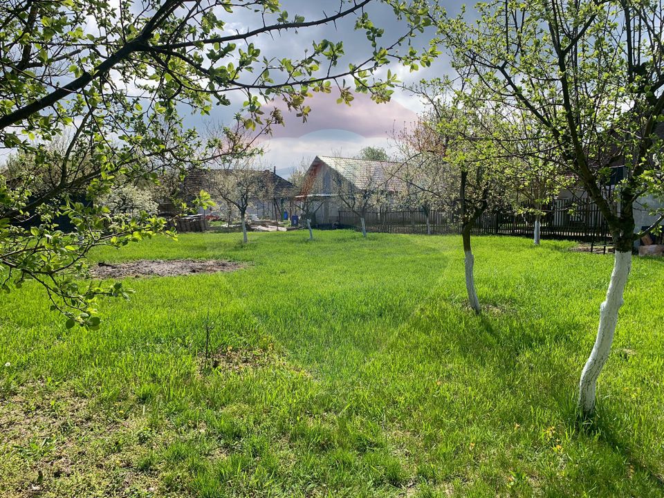 3 room House / Villa for sale