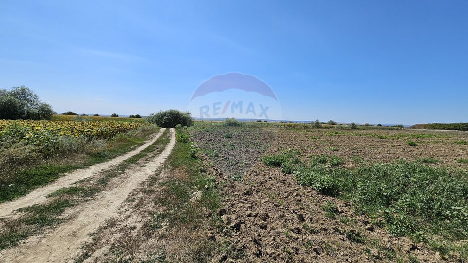 Land 52,115sqm Hutani / DJ DJ291