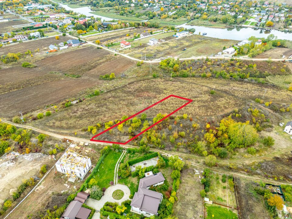 Teren 3000 mp în Snagov – zonă in dezvoltare, aproape de pădure