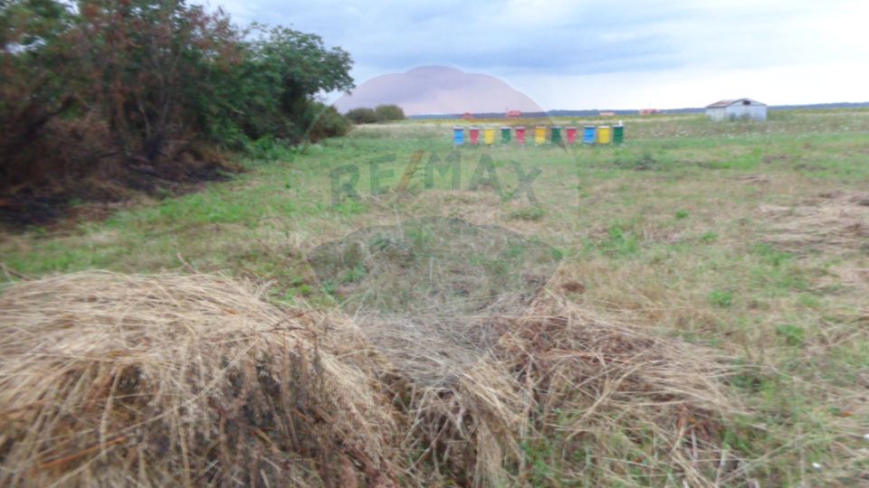 1000 sqm land plot near houses in Cihei