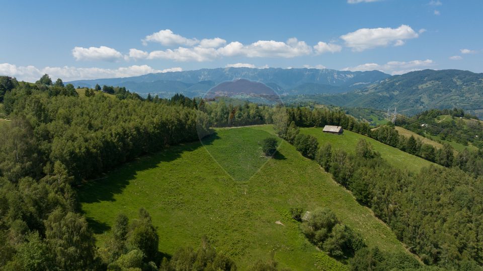 Teren Panoramic in Bran – Vedere spre Bucegi & Piatra Craiului
