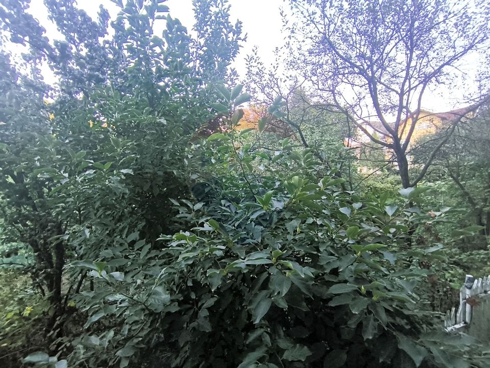 4 room Apartment for rent, Zorilor area