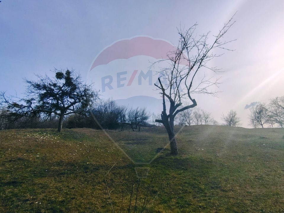 Teren intravilan generos 3.206 mp în Remecioara | Priveliște deosebită