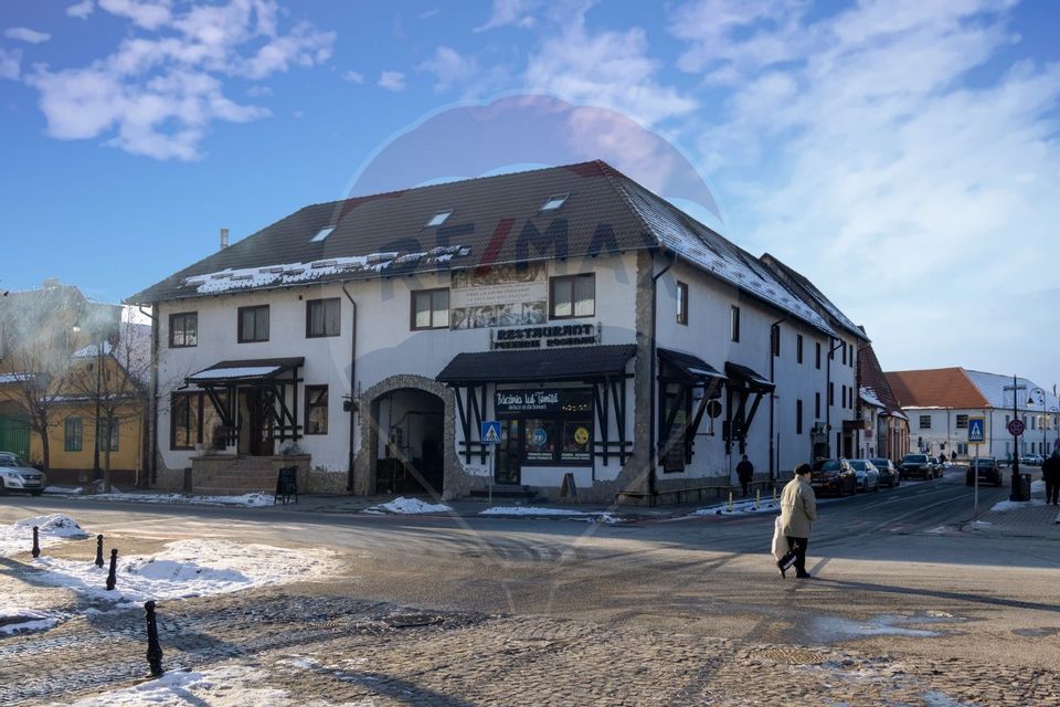 21 room Hotel / Pension for sale, Ultracentral area