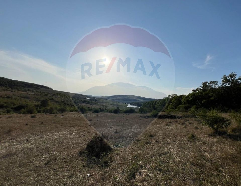 Land 50,000sqm Caianu-Vama / Strada Principala