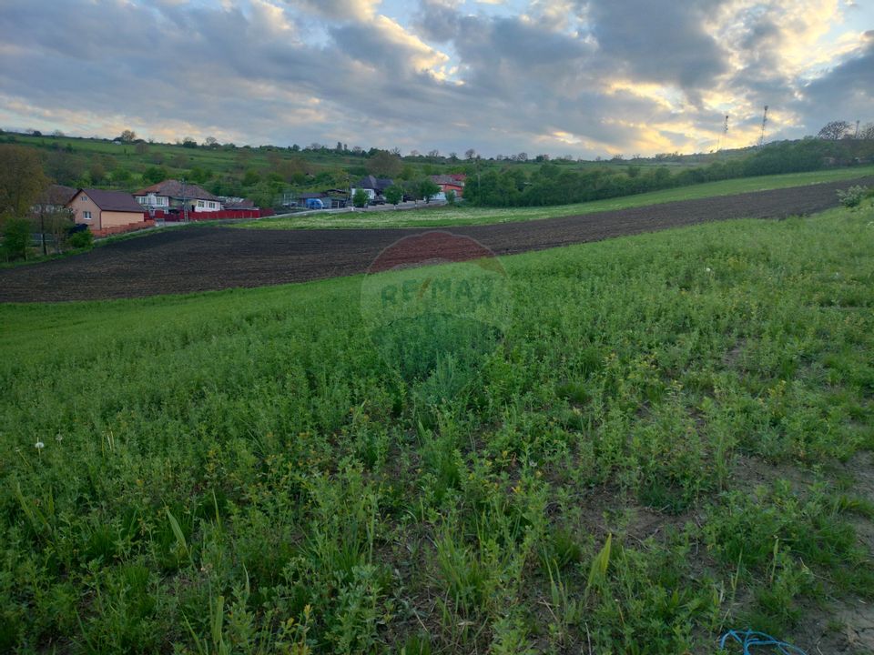 Teren intravilan Tarnaveni