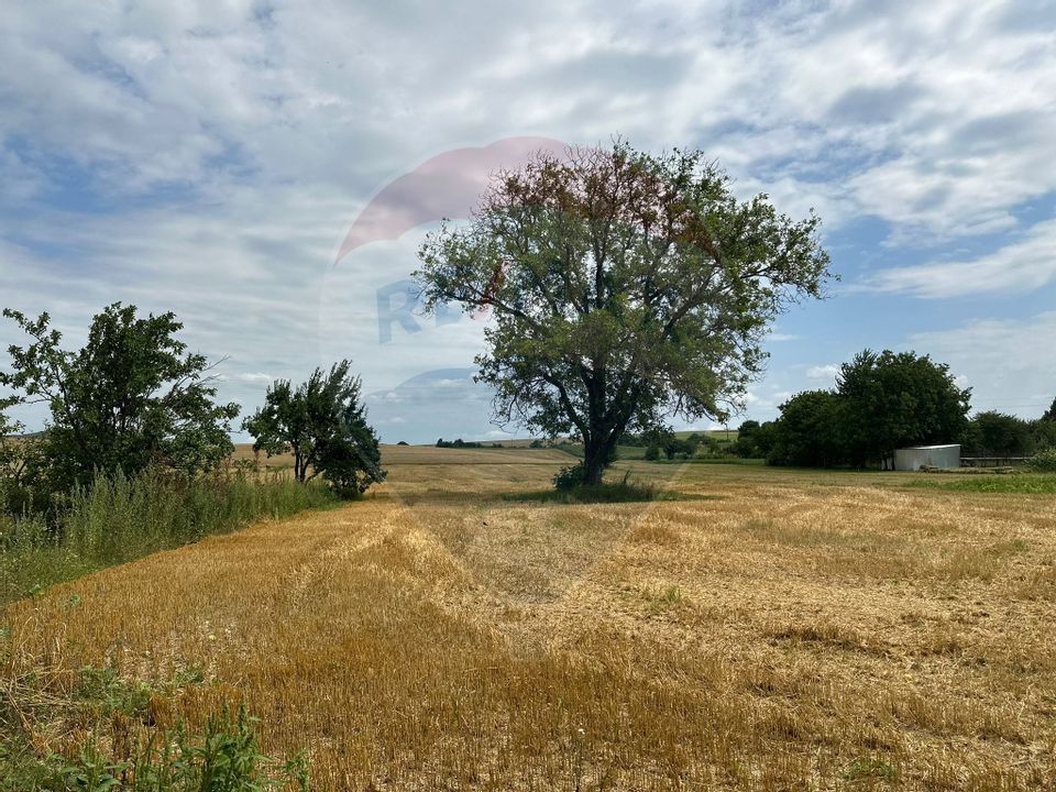 3 room House / Villa for sale