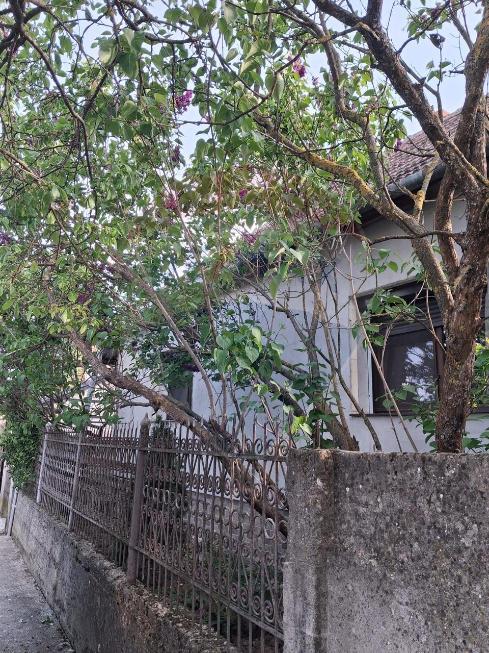 Casă spațioasă de vânzare în zona metropolitană, Fughiu