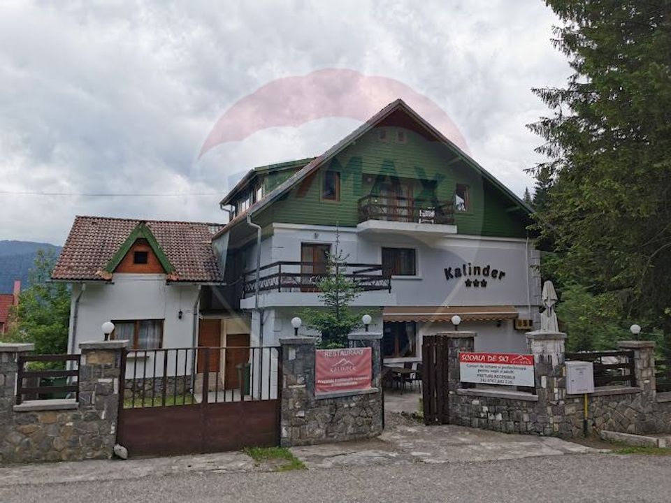 12 room Hotel / Pension for sale, Valea Alba area