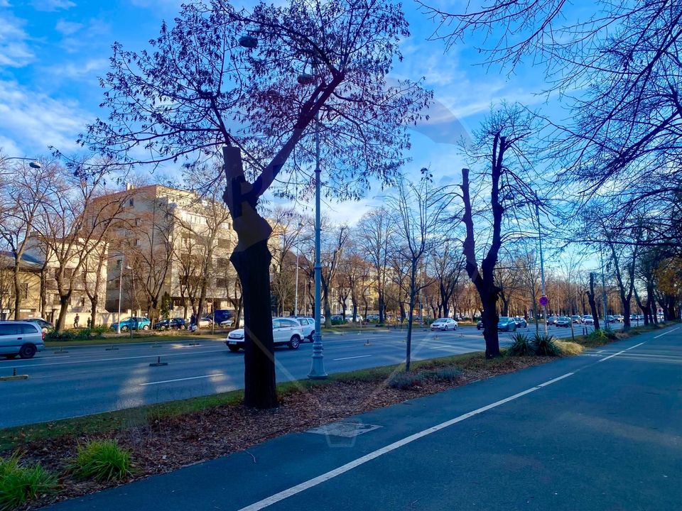 Spațiu comercial de 196.25mp de închiriat în zona Aviatorilor