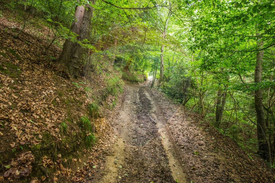 Teren extravilan Moieciu 45316mp