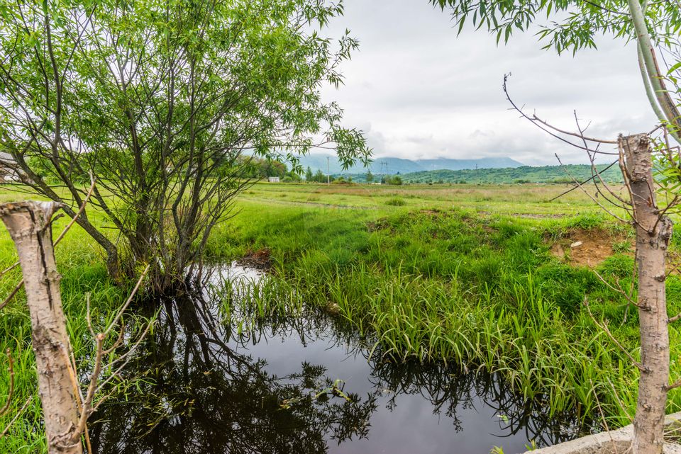 Teren Bran -Sohodol, Strada La mesteceni, 6900mp