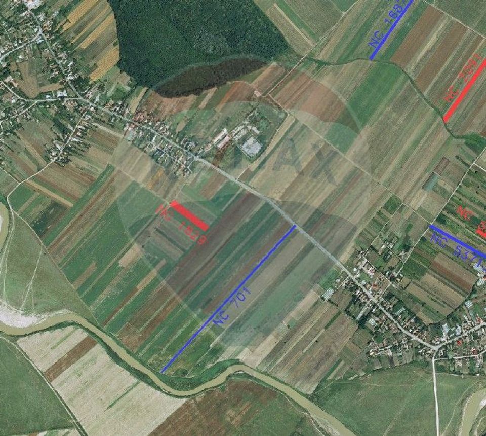Land 4,955sqm in Nuci Ilfov, only 100 m from the last house built