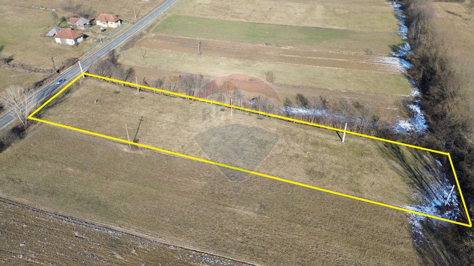 Teren de vânzare la strada principală Berința
