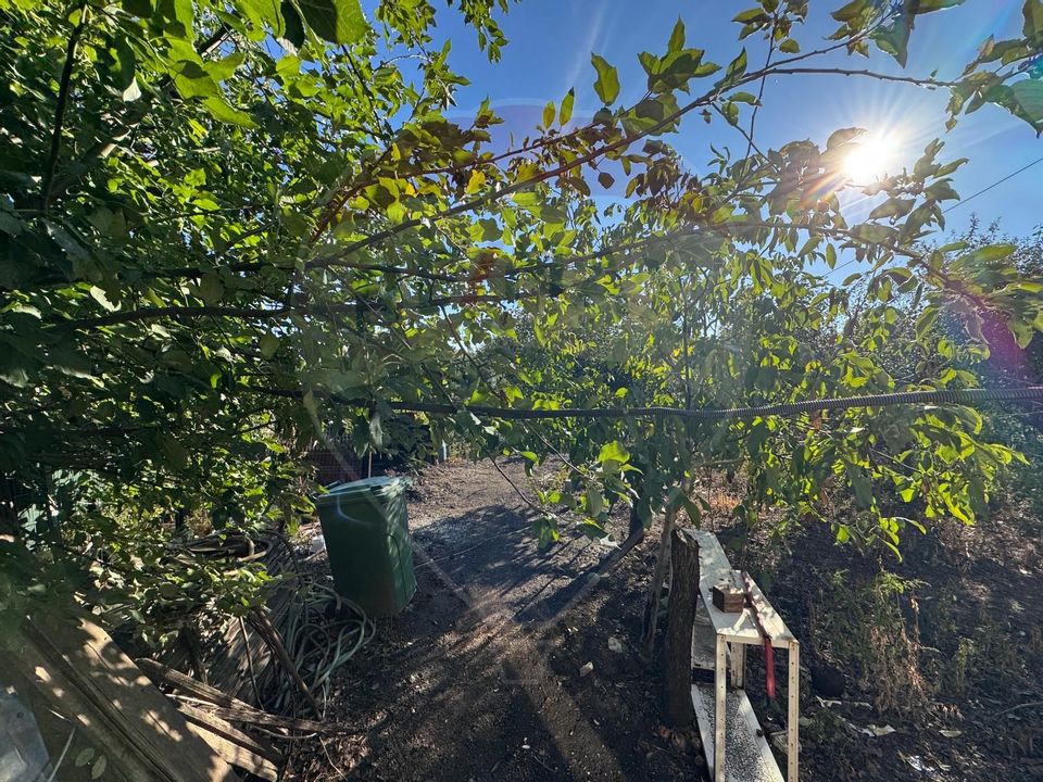 6 room House / Villa for sale, Sud area