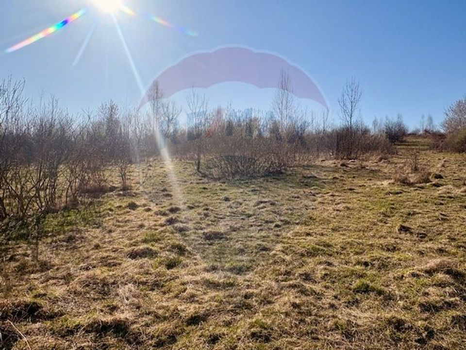 1 room House / Villa for sale