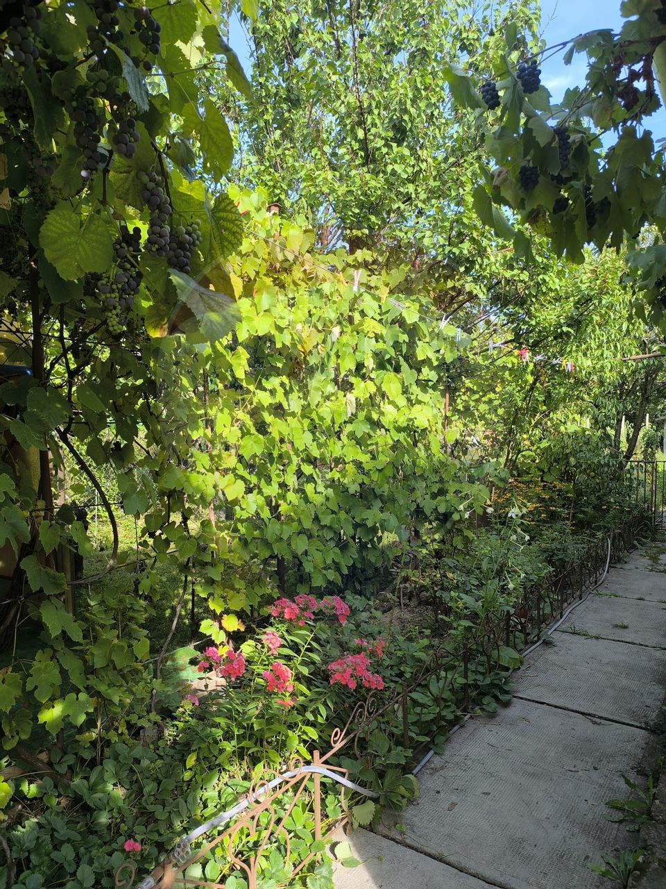 Casă de vanzare 3 camere Gherla