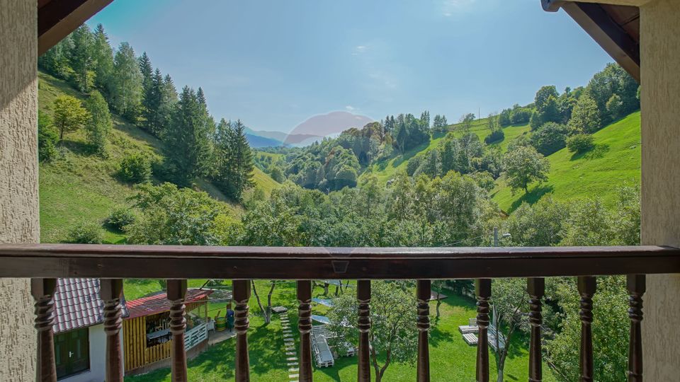 21 room House / Villa for sale