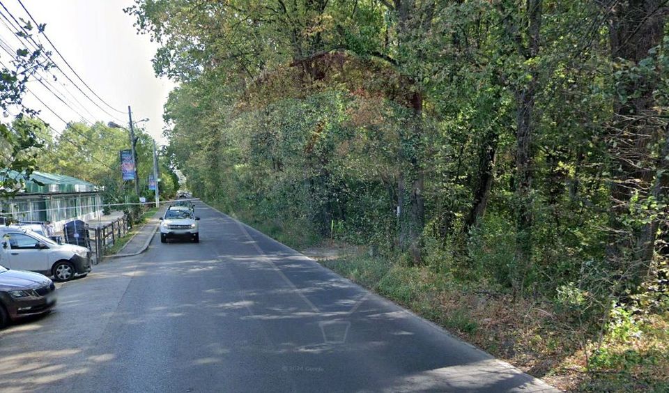 Metal halls 2180 sqm + land 9,700 sqm – Teișani Alley, DN1 access