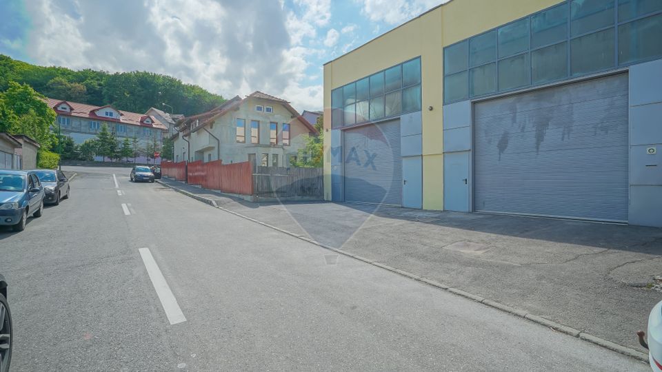 Spatiu productie, prestari servicii, zona Carpatilor/Muncii