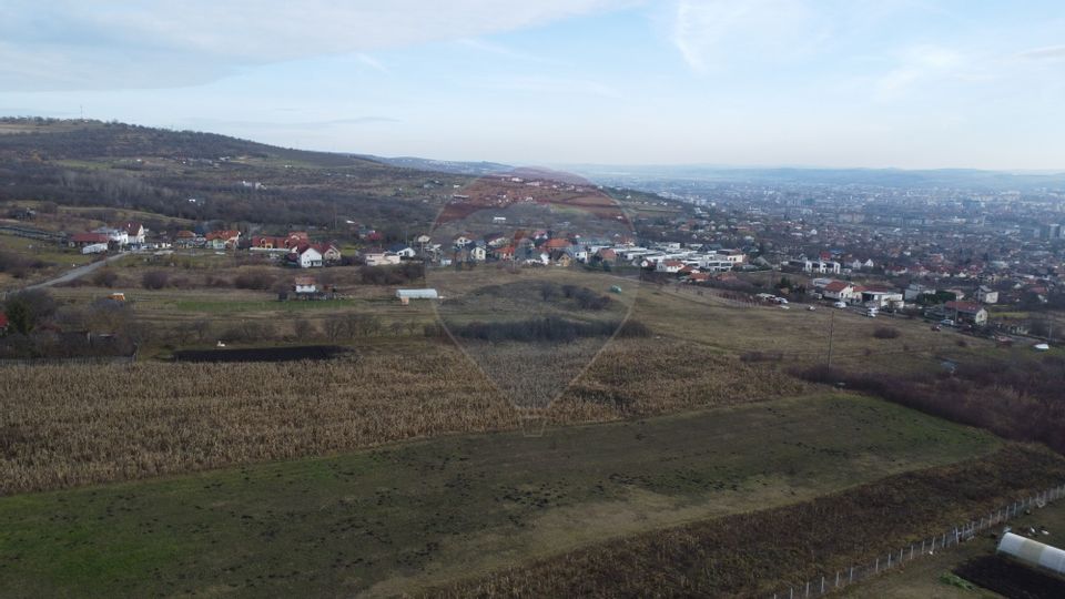 Teren 19.375 mp Dâmbu Rotund. Potențial rezidențial. Extravilan