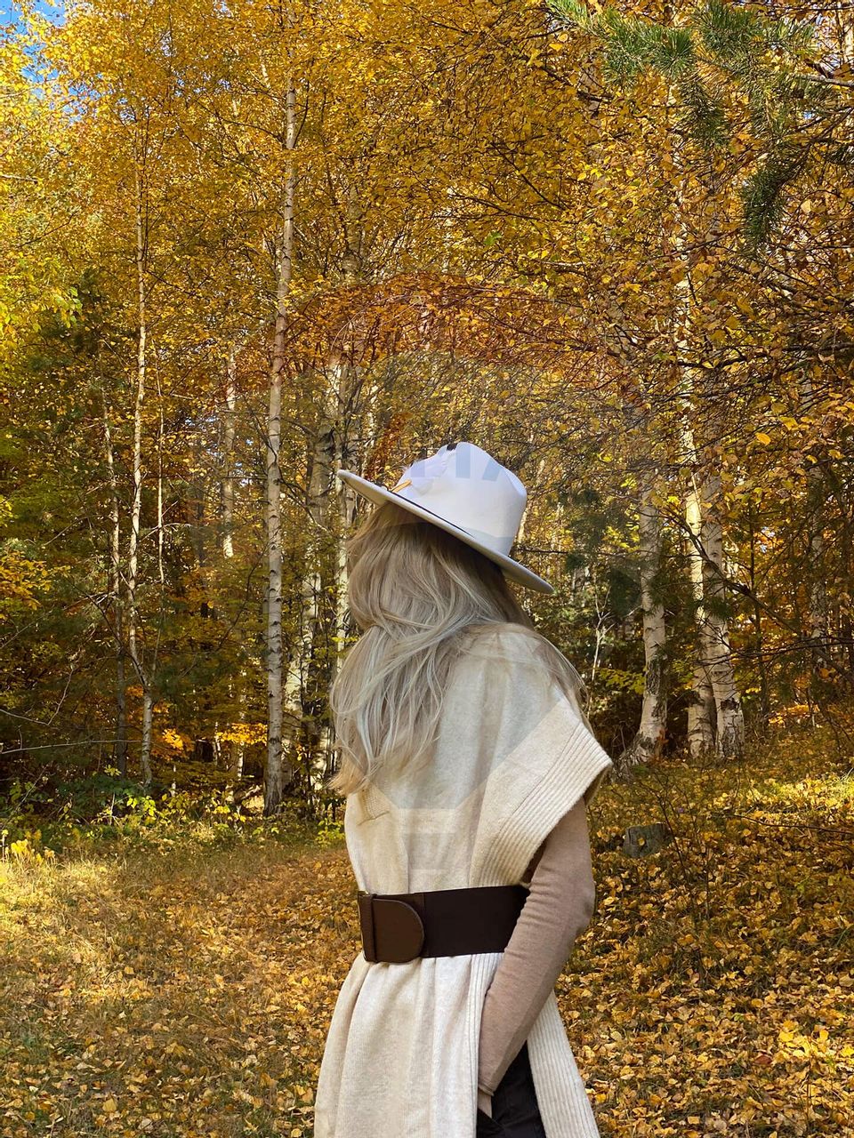 Guesthouse for sale | 12 rooms | Bisoca / Buzau