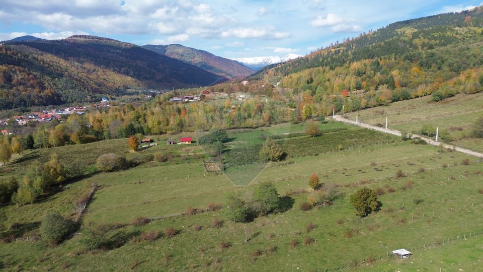 Land 3,831sqm Leresti / Strada Poduri