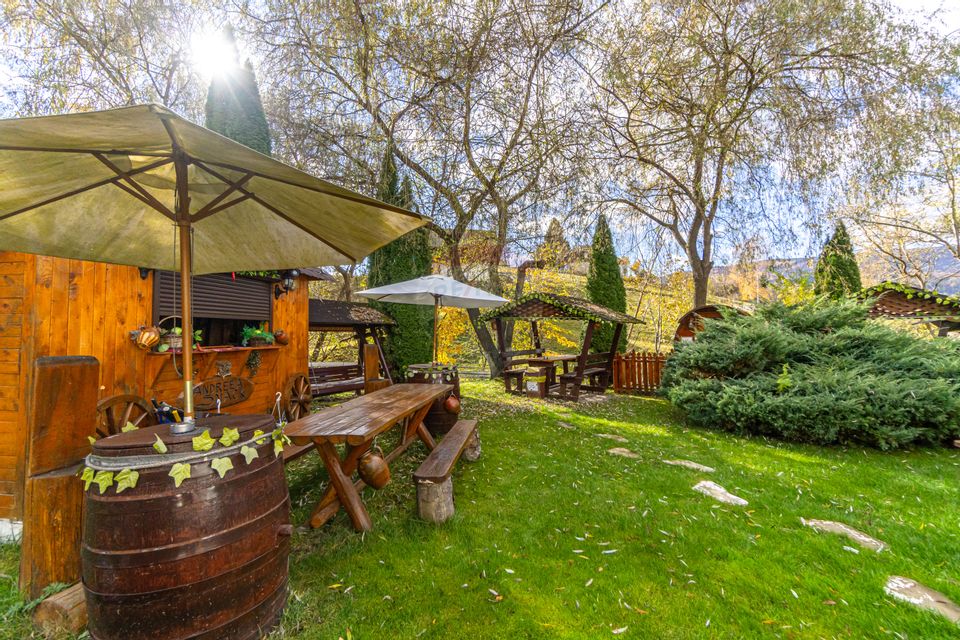 Pensiunea Scărișoara – Refugiul din Inima Rucărului | Comision 0%