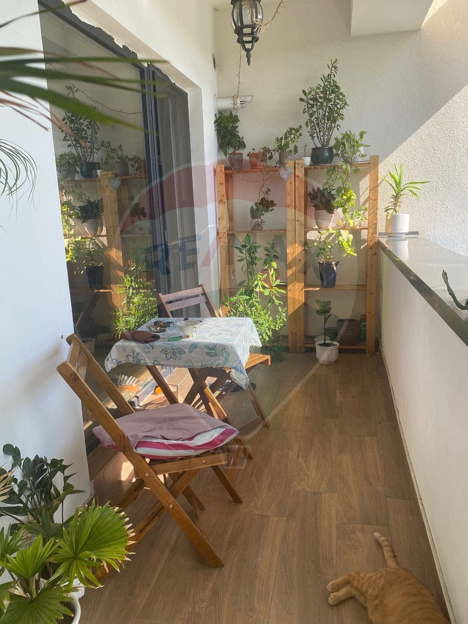 2 room Apartment for rent