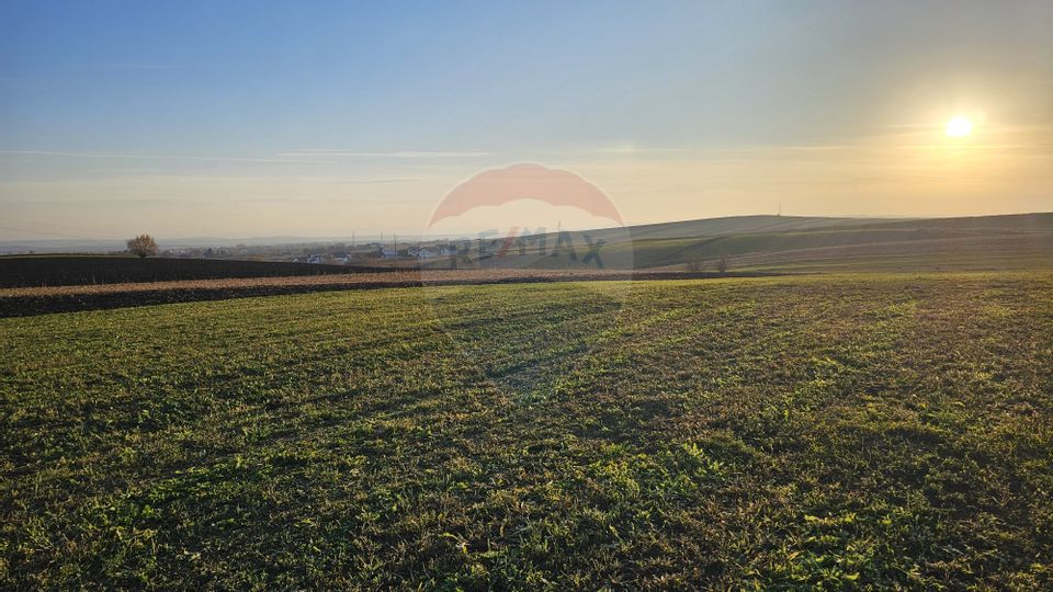 Teren extravilan 10152mp Stroiesti / Soseaua DN17, Suceava