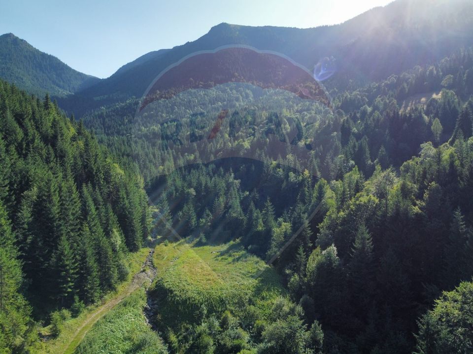 Teren 2,895mp Strada Priseci acces auto in zona telecabina BORSA