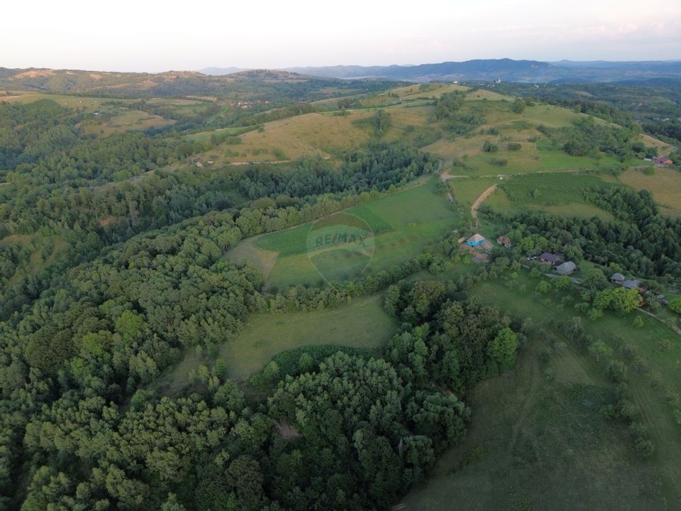 DE VANZARE CASA CU SUFELT SI ISTORIE